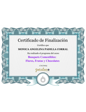 Certificado finalizacion BC